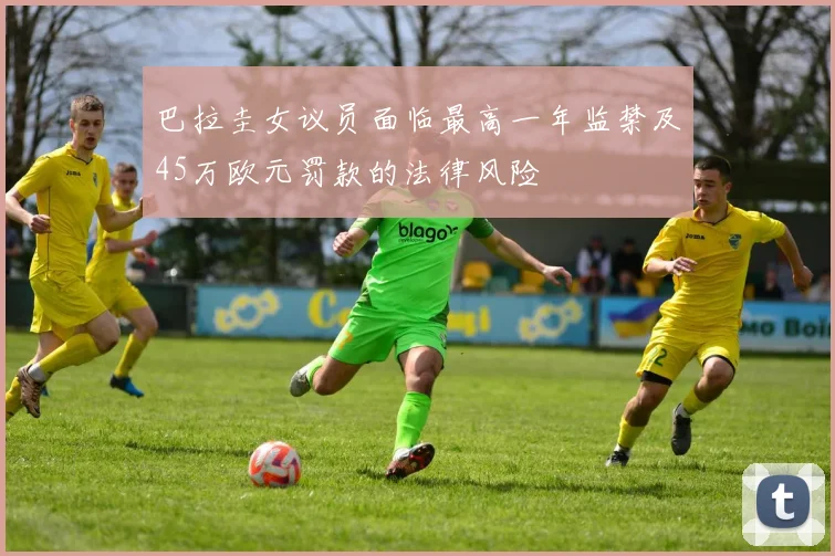 巴拉圭女议员面临最高一年监禁及45万欧元罚款的法律风险
